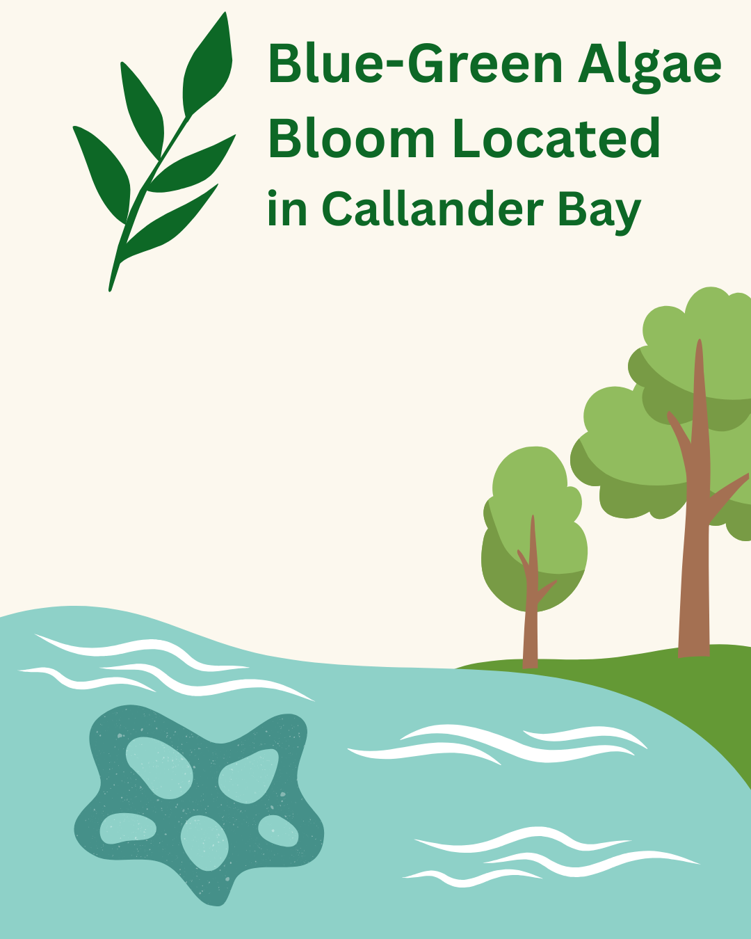 NOTICE: Blue-Green Algae Update
